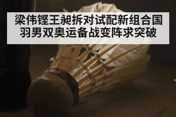 梁伟铿王昶拆对试配新组合国羽男双奥运备战变阵求突破