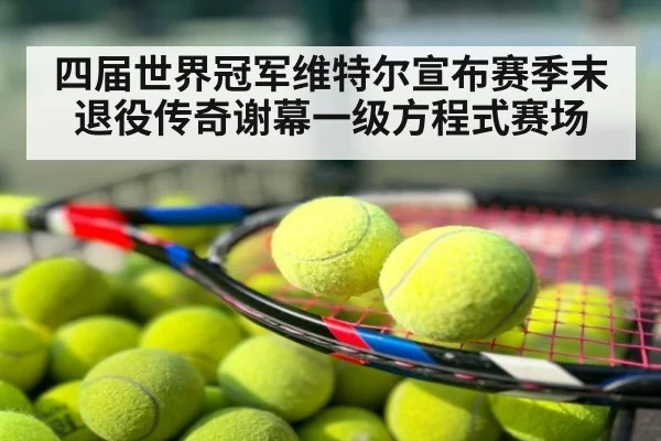四届世界冠军维特尔宣布赛季末退役传奇谢幕一级方程式赛场